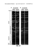 AUTISM-ASSOCIATED BIOMARKERS AND USES THEREOF diagram and image