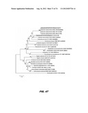 AUTISM-ASSOCIATED BIOMARKERS AND USES THEREOF diagram and image