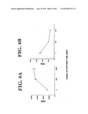 Regulatory T Cells and Their Use in Immunotherapy and Suppression of     Autoimmune Responses diagram and image