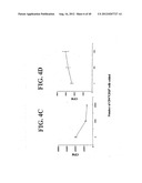 Regulatory T Cells and Their Use in Immunotherapy and Suppression of     Autoimmune Responses diagram and image