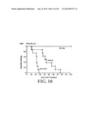 Regulatory T Cells and Their Use in Immunotherapy and Suppression of     Autoimmune Responses diagram and image