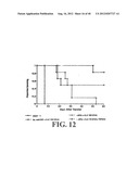 Regulatory T Cells and Their Use in Immunotherapy and Suppression of     Autoimmune Responses diagram and image