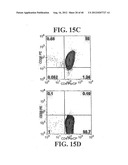 Regulatory T Cells and Their Use in Immunotherapy and Suppression of     Autoimmune Responses diagram and image