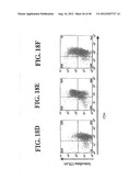 Regulatory T Cells and Their Use in Immunotherapy and Suppression of     Autoimmune Responses diagram and image