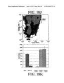 Regulatory T Cells and Their Use in Immunotherapy and Suppression of     Autoimmune Responses diagram and image