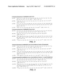 ANTI-EPHB4 ANTIBODIES AND METHODS USING SAME diagram and image