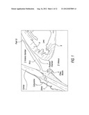 Method and system for effecting changes in pigmented tissue diagram and image