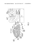 Method and system for effecting changes in pigmented tissue diagram and image