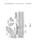 Method and system for effecting changes in pigmented tissue diagram and image