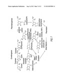 Method and system for effecting changes in pigmented tissue diagram and image