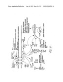 Method and system for effecting changes in pigmented tissue diagram and image