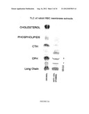 COMPOSITIONS AND METHODS FOR WOUND HEALING diagram and image