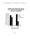 COMPOSITIONS AND METHODS FOR WOUND HEALING diagram and image