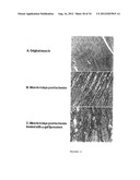 COMPOSITIONS AND METHODS FOR WOUND HEALING diagram and image