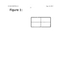 DRUG DELIVERY SYSTEMS (WAFER) FOR PEDIATRIC USE diagram and image