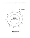 PHARMACEUTICAL COMPOSITION OF NANOPARTICLES diagram and image