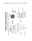 PHARMACEUTICAL COMPOSITION OF NANOPARTICLES diagram and image