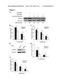 MSH3 Expression Status Determines the Responsiveness of Cancer Cells to     the Chemotherapeutic Treatment with PARP Inhibitors and Platinum Drugs diagram and image
