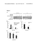 MSH3 Expression Status Determines the Responsiveness of Cancer Cells to     the Chemotherapeutic Treatment with PARP Inhibitors and Platinum Drugs diagram and image