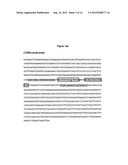 ASSAY METHODS FOR MDV-1 diagram and image