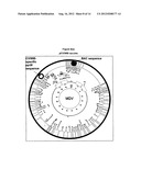 ASSAY METHODS FOR MDV-1 diagram and image