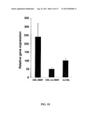 DIAGNOSTIC AND TREATMENT FOR CHRONIC AND ACUTE PHASE MYELOID LEUKEMIA diagram and image