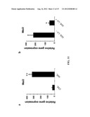 DIAGNOSTIC AND TREATMENT FOR CHRONIC AND ACUTE PHASE MYELOID LEUKEMIA diagram and image