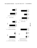 DIAGNOSTIC AND TREATMENT FOR CHRONIC AND ACUTE PHASE MYELOID LEUKEMIA diagram and image