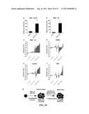 DIAGNOSTIC AND TREATMENT FOR CHRONIC AND ACUTE PHASE MYELOID LEUKEMIA diagram and image