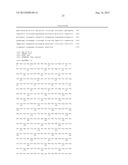 DIAGNOSTIC AND TREATMENT FOR CHRONIC AND ACUTE PHASE MYELOID LEUKEMIA diagram and image