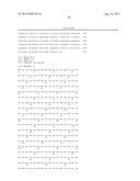 DIAGNOSTIC AND TREATMENT FOR CHRONIC AND ACUTE PHASE MYELOID LEUKEMIA diagram and image