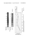 COMPOSITIONS AND METHODS FOR MODULATING C-REL-DEPENDENT CYTOKINE     PRODUCTION diagram and image