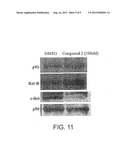 COMPOSITIONS AND METHODS FOR MODULATING C-REL-DEPENDENT CYTOKINE     PRODUCTION diagram and image