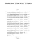 METHODS OF ASSESSING CROHN S DISEASE PATIENT PHENOTYPE BY I2, OMPC AND     ASCA SEROLOGIC RESPONSE diagram and image