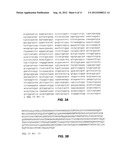 METHODS OF ASSESSING CROHN S DISEASE PATIENT PHENOTYPE BY I2, OMPC AND     ASCA SEROLOGIC RESPONSE diagram and image