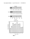 METHODS OF ASSESSING CROHN S DISEASE PATIENT PHENOTYPE BY I2, OMPC AND     ASCA SEROLOGIC RESPONSE diagram and image