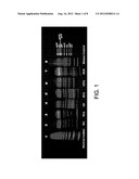 RAPID SACCHARIDE BIOMARKER ASSAY diagram and image