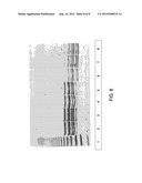 RAPID SACCHARIDE BIOMARKER ASSAY diagram and image