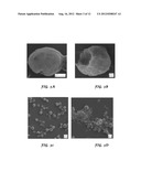 Non-Dispersive Process for Insoluble Oil Recovery from Aqueous Slurries diagram and image