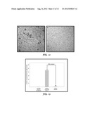 Non-Dispersive Process for Insoluble Oil Recovery from Aqueous Slurries diagram and image