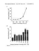 NOVEL DNA CLONING METHOD RELYING ON THE E.COLI recE/recT RECOMBINATION     SYSTEM diagram and image