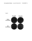 NOVEL DNA CLONING METHOD RELYING ON THE E.COLI recE/recT RECOMBINATION     SYSTEM diagram and image