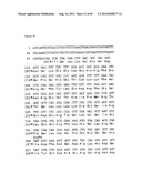 NOVEL DNA CLONING METHOD RELYING ON THE E.COLI recE/recT RECOMBINATION     SYSTEM diagram and image