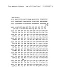 NOVEL DNA CLONING METHOD RELYING ON THE E.COLI recE/recT RECOMBINATION     SYSTEM diagram and image