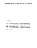 NOVEL DNA CLONING METHOD RELYING ON THE E.COLI recE/recT RECOMBINATION     SYSTEM diagram and image