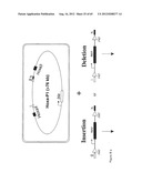 NOVEL DNA CLONING METHOD RELYING ON THE E.COLI recE/recT RECOMBINATION     SYSTEM diagram and image