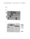 NOVEL DNA CLONING METHOD RELYING ON THE E.COLI recE/recT RECOMBINATION     SYSTEM diagram and image