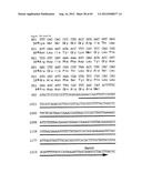 NOVEL DNA CLONING METHOD RELYING ON THE E.COLI recE/recT RECOMBINATION     SYSTEM diagram and image