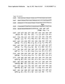 NOVEL DNA CLONING METHOD RELYING ON THE E.COLI recE/recT RECOMBINATION     SYSTEM diagram and image