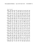 NOVEL DNA CLONING METHOD RELYING ON THE E.COLI recE/recT RECOMBINATION     SYSTEM diagram and image